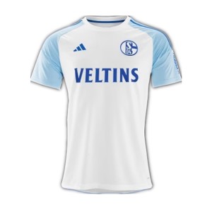 FC Schalke 04 Mens Away Soccer Jersey 2023