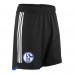 FC Schalke 04 Mens Alternative Soccer Shorts 2023