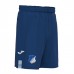 TSG Mens Home Soccer Shorts 2023