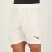 Palmeiras Men's Home Soccer Shorts 2023