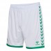 AS Saint Etienne Mens Home Soccer Shorts 2023