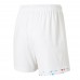 Lille OSC Men's Away Soccer Shorts 2023