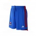 Olympique Lyonnais Men's Away  Soccer Shorts 2023