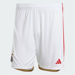 Benfica Mens Home Shorts 2023