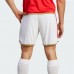 Benfica Mens Home Shorts 2023