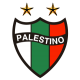 Club Deportivo Palestino