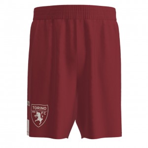 Torino Mens Away Soccer Shorts 2023