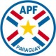 Paraguay National Team