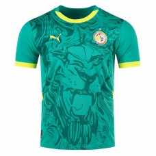 Senegal Mens Away Soccer Jersey 2025