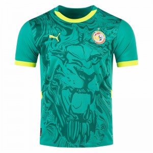 Senegal Mens Away Soccer Jersey 2025