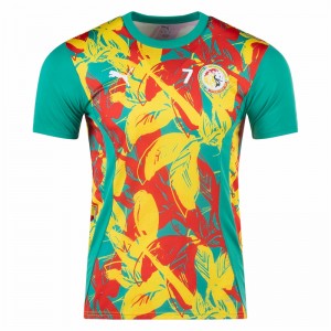 Senegal Mens Pre Match Soccer Jersey 2025