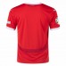 Austria Mens Home Euro Soccer Jersey 2024