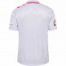 Denmark Mens Away Euro Soccer Jersey 2024