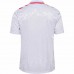 Denmark Mens Away Soccer Jersey 2024