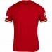 Romania Mens Away Euro Soccer Jersey 2024