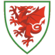 Wales National Team