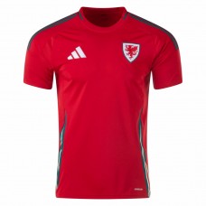 Wales Men's Home Soccer Jersey 2024